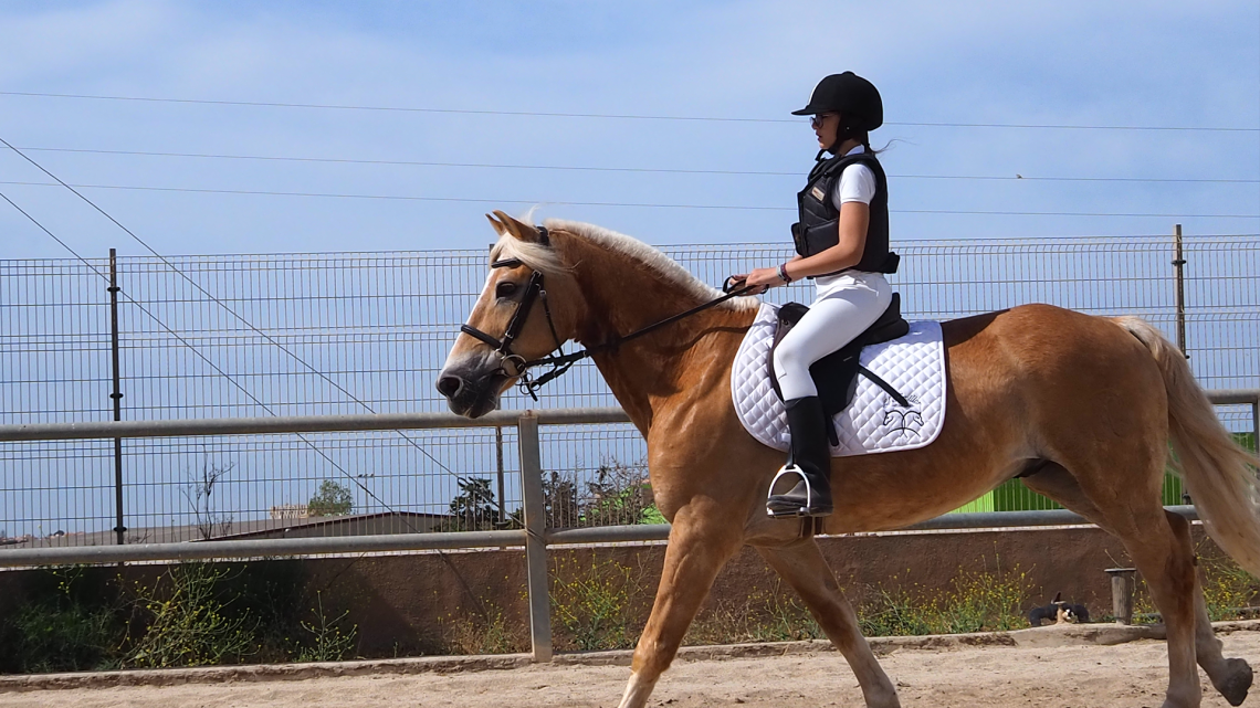 Club Hipico el Tomillar header Ken