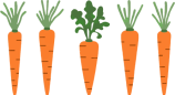 zanahorias-donativos